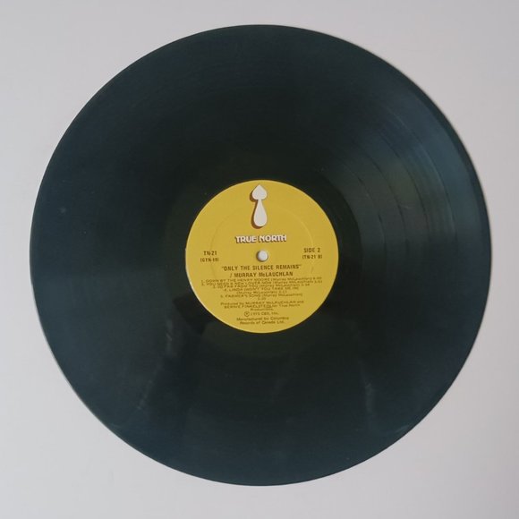 Vintage Murray McLauchlan Only The Silence Remains vinyl record, 1975 original - Picture 9 of 11